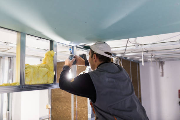 Best Blown-in Insulation in Napili Honokowai, HI
