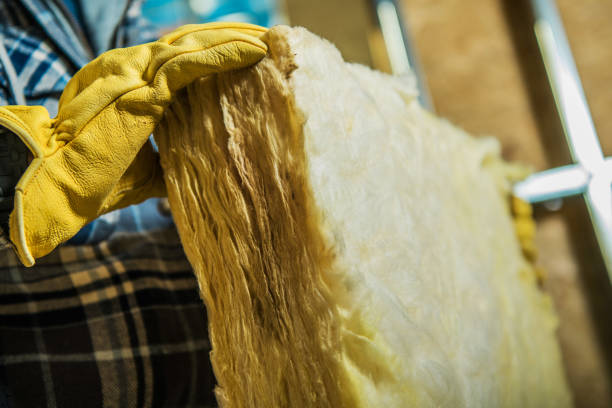 Best Commercial Insulation in Napili Honokowai, HI