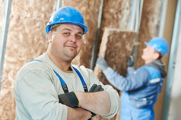 Best Residential Insulation in Napili Honokowai, HI